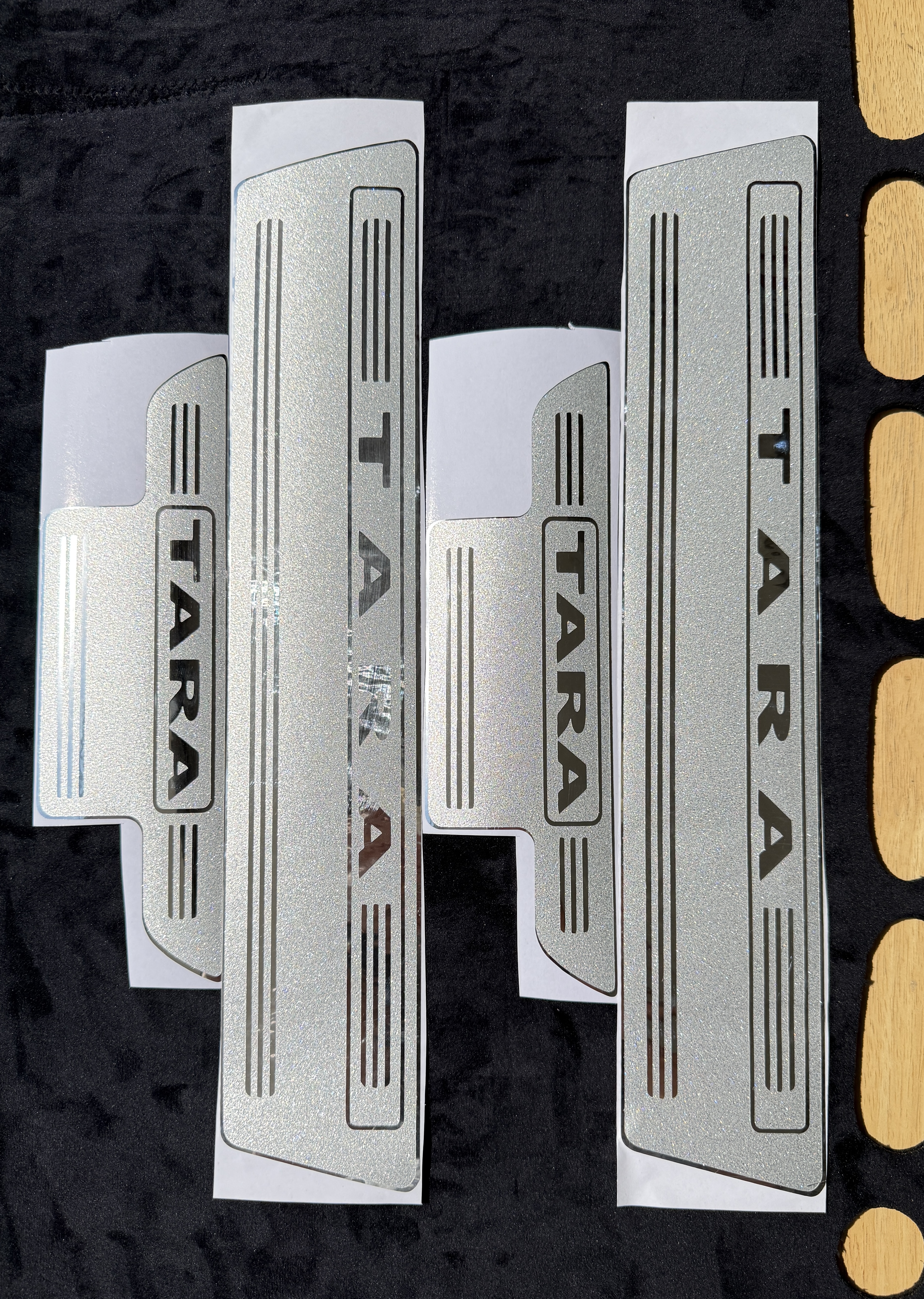 پارکابی تارا ‌ (سیلور وشاین دار)